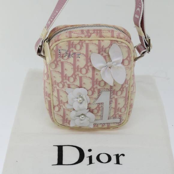 Dior Trotter Shoulder Bag - Picture 7 of 16